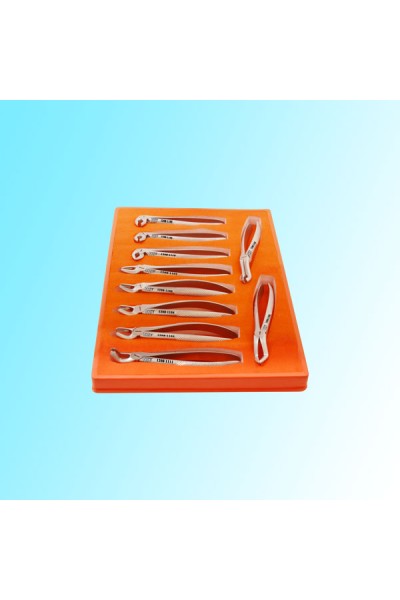 TOOTH EXTRACTION FORCEPS SET ENGLISH PATTERN 10PCS