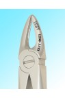 TOOTH EXTRACTING FORCEPS FIG.29 ENGLISH PATTERN